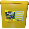 TROPİCAL 3-ALGAE GRANULAT  50-100-250-500-1000 GR