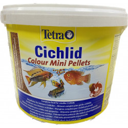 TETRA CİCHLİD COLOUR MİNİ...