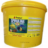 TROPİCAL SUPER SPIRULİNA FORTE PUL 50-100-250 GRAM