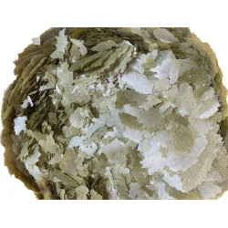 TROPİCAL 3-ALGAE FLAKE  PUL 50-100-250 GRAM