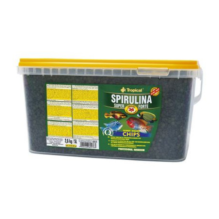 TROPİCAL SPIRULİNA FORTE CHİPS 50-100-250 GRAM