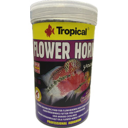 TROPICAL FLOWER HORN YOUNG...