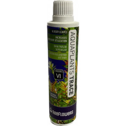 REEFLOWERS AQUAPLANTS TRACE...