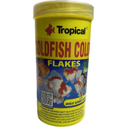 TROPICAL  GOLDFISH COLOR...